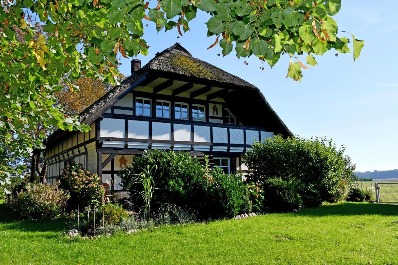 Reetdachfachwerkvilla Am Wiesengrund Bergen Auf Rugen Exterior photo